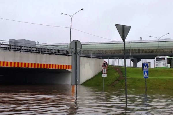 Услуги даркнета
