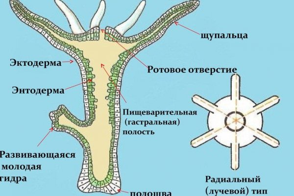 Проверенная ссылка кракен