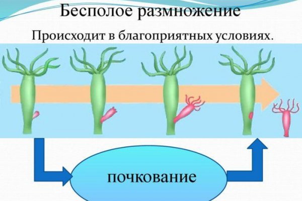 Ссылки на кракен зеркала