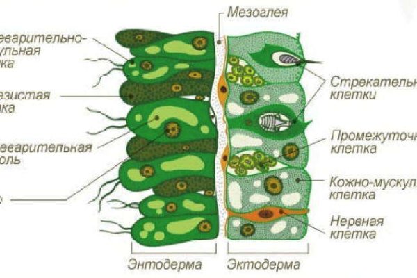 Кракен сайт биз