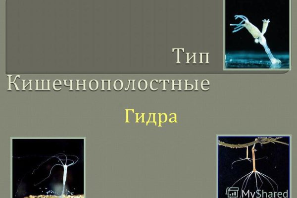 Kraken рабочая ссылка 2025