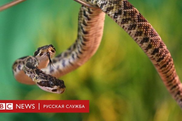 Кракен сайт сегодня
