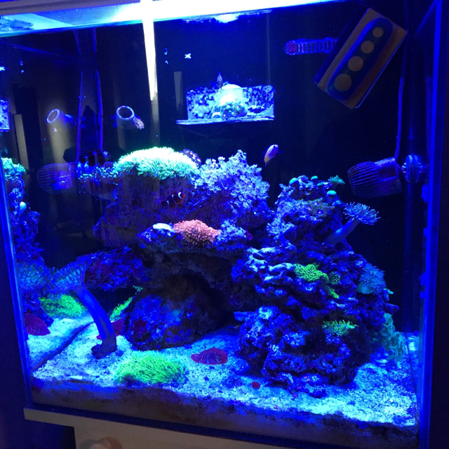 Kraken 13 at