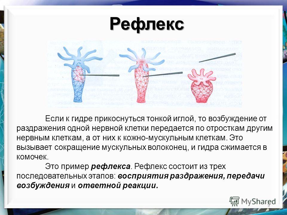 Onion сайт кракен