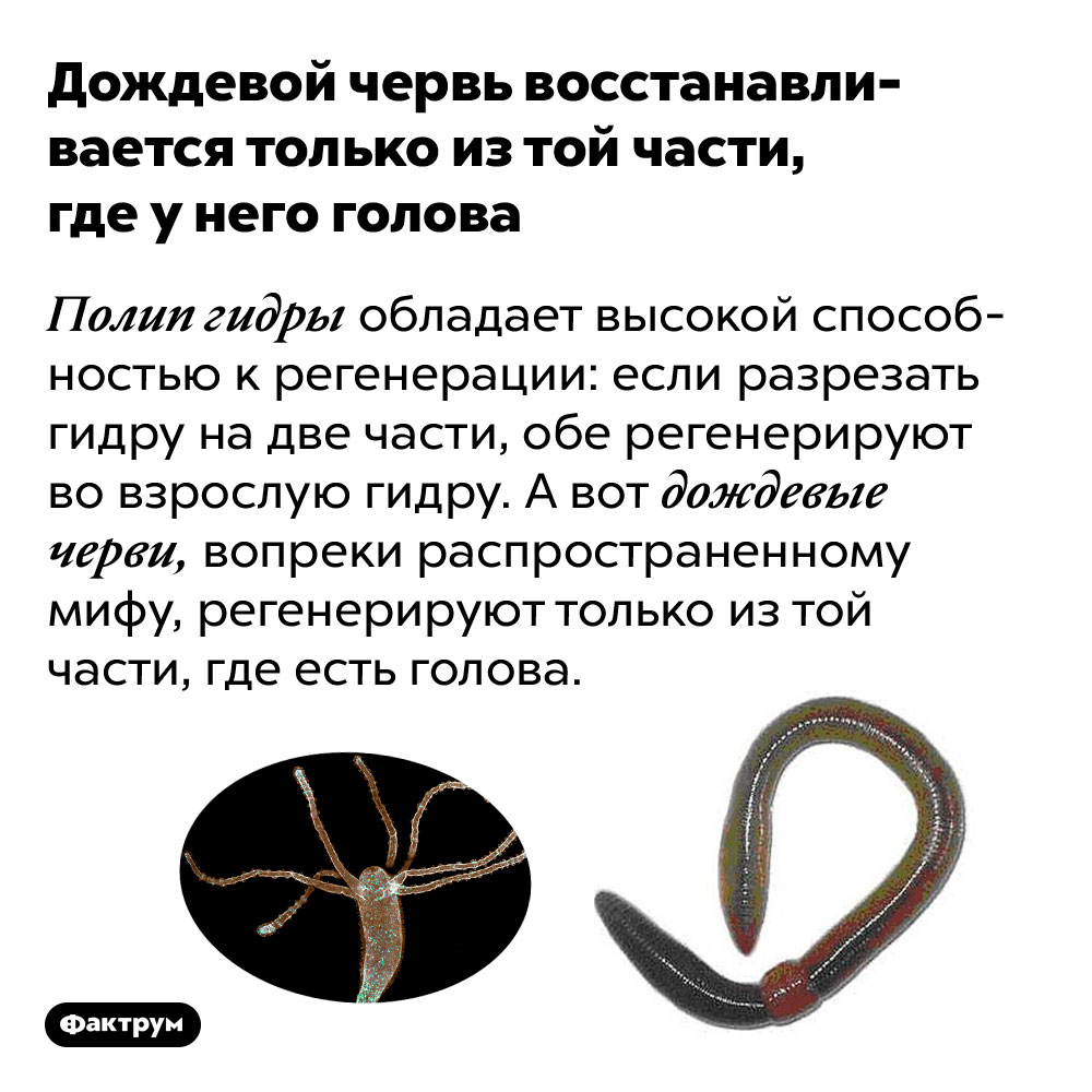 Кракен сайт ссылка онлайн